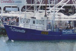 Cicerellos - Melbourne 4u 1