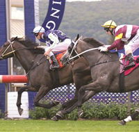 Gosford Race Club - Accommodation Melbourne