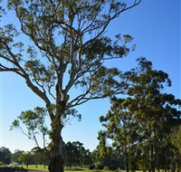 Ryde-Parramatta Golf Club - Accommodation Melbourne