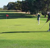 Waikerie Golf Club - Accommodation Melbourne