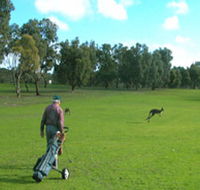 Coffin Bay Golf Club - Accommodation Melbourne