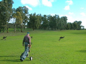 Coffin Bay Golf Club - Accommodation Melbourne 0