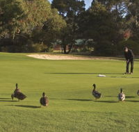 Royal Hobart Golf Club - Accommodation Melbourne