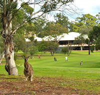 Pambula Merimbula Golf Club - Accommodation Melbourne