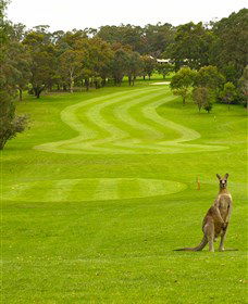 Pambula Merimbula Golf Club - Accommodation Melbourne 2