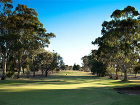Loxton Golf Club - Accommodation Melbourne 0