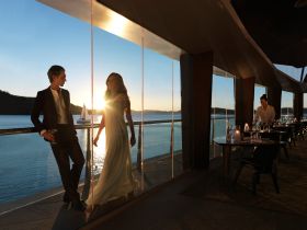 Hamilton Island Yacht Club - Accommodation Melbourne 2