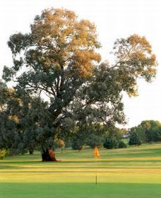 Cowra NSW Accommodation Melbourne