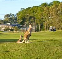 Sanctuary Cove Golf and Country Club - Accommodation Melbourne