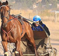 Ballarat  District Trotting Club - Accommodation Melbourne