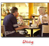Steelers Club - Accommodation Melbourne
