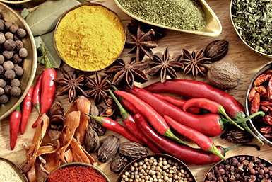 Vamos Melbourne - Accommodation Melbourne 0