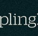 Dumpling Republic - Accommodation Melbourne