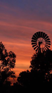 Emerald Springs Roadhouse - Accommodation Melbourne 5