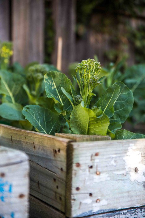 Union Bank Wine Bar - Accommodation Melbourne 8