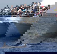 MoonshadowTQC Cruises - Accommodation Melbourne