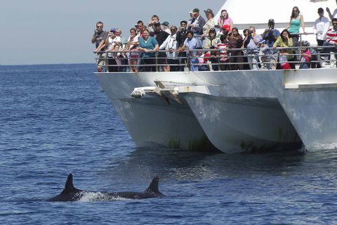 Moonshadow–TQC Cruises - Accommodation Melbourne 0