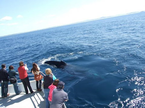 Moonshadow–TQC Cruises - Accommodation Melbourne 1