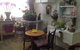 Fiori With Love - thumb 3