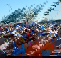 7 Sunshine Coast Marathon - Accommodation Melbourne