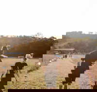 Arcadia - Accommodation Melbourne