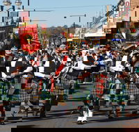 Australian Celtic Festival - Accommodation Melbourne
