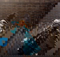 Baroque Horse Festival - Accommodation Melbourne