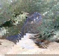 Bathurst Arts Trail - Accommodation Melbourne