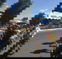 Bunny Bazaar - Accommodation Melbourne