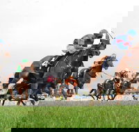 Christmas Cup Race Day - Accommodation Melbourne