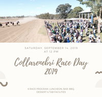 Collarenebri Races - Accommodation Melbourne
