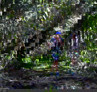 Elephant Trail Race - Accommodation Melbourne