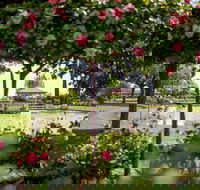 Griffith Spring Fest - Accommodation Melbourne