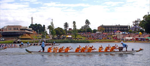 Jacaranda Dragon Boat Races - Accommodation Melbourne 0