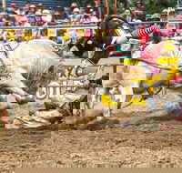 Jindabyne's Man From Snowy River Rodeo - Accommodation Melbourne