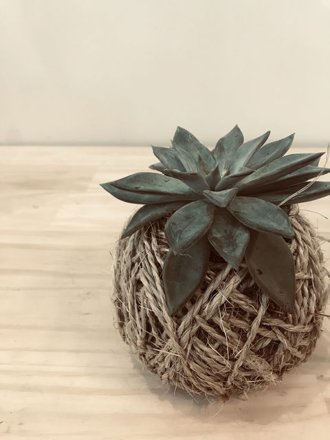 Kokedama Workshop - Melbourne 4u 0