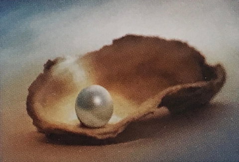 Lecture Cancelled:  ADFAS  Lecture (Half-Day) - Patricia Law Speaking On Pearls And Diamonds - Accommodation Melbourne 0