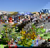 Maclean Community Monthly Markets - Accommodation Melbourne