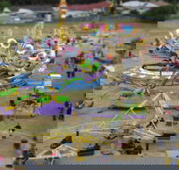 Millicent Agricultural and Horticultural Show - Accommodation Melbourne