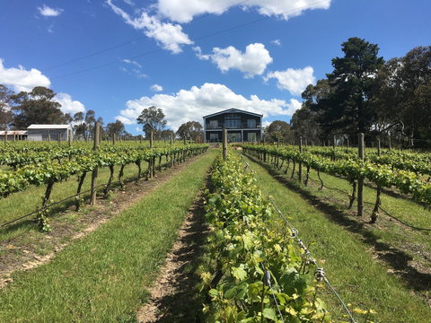 Mortimer's Diploma Of Taste - Accommodation Melbourne 0