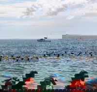 Nowra Toyota triHusky Huskisson Triathlon Festival Little Husky - Accommodation Melbourne