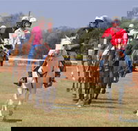 Pride of the West Races 2020 - Accommodation Melbourne