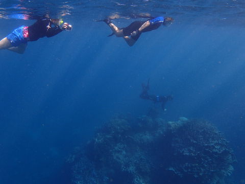 Project Manta Ningaloo Reef, Western Australia - Accommodation Melbourne 1