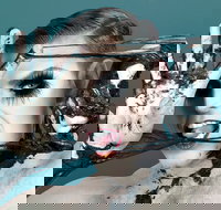 Reuben Kaye Comes Out to Play - Accommodation Melbourne