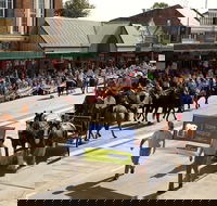 Scone Horse Festival - Accommodation Melbourne