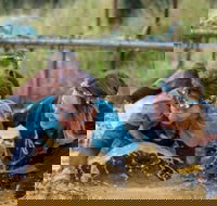 Suck It Up Buttercup Vikings Obstacle Course - Accommodation Melbourne