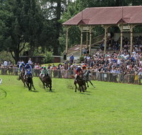 Tumut Derby Day - Accommodation Melbourne
