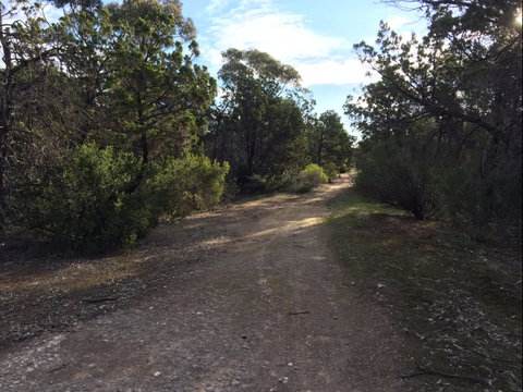 Victoria Park Moonta Monthly Walks - Accommodation Melbourne 0