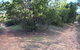 Victoria Park Moonta Monthly Walks - thumb 1