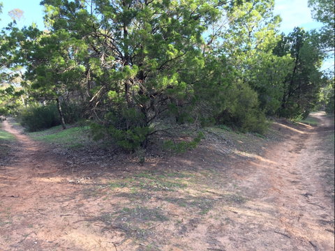 Victoria Park Moonta Monthly Walks - Accommodation Melbourne 1
